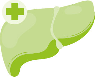 Función hepática normal desmodium vitobest