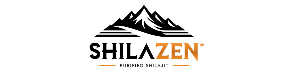 SHILAJIT 60cap.