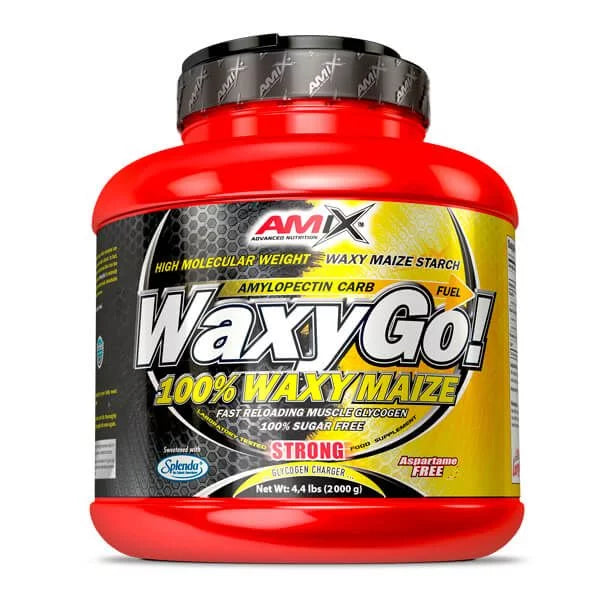 Waxy Go amilopectina de maíz waxy maize glucógeno amix 